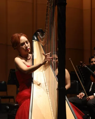 The Music of Jane Austen Seattle