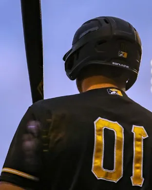 Salt Lake Bees Tacoma