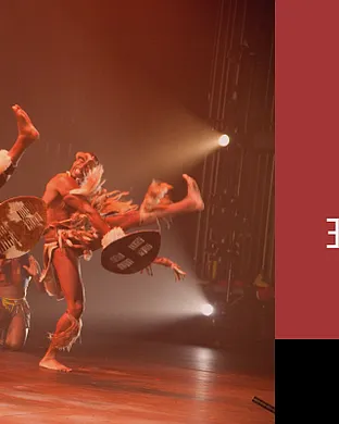 Step Afrika Federal Way