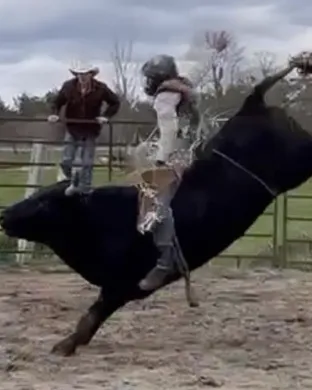 Xtreme Bulls Bremerton
