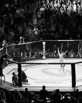 Excitefight MMA Auburn