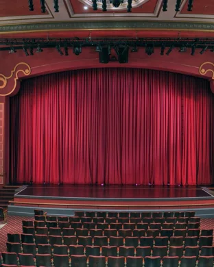 Manual Cinema